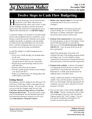 Cash Flow Budget 12 Examples Format Pdf Examples