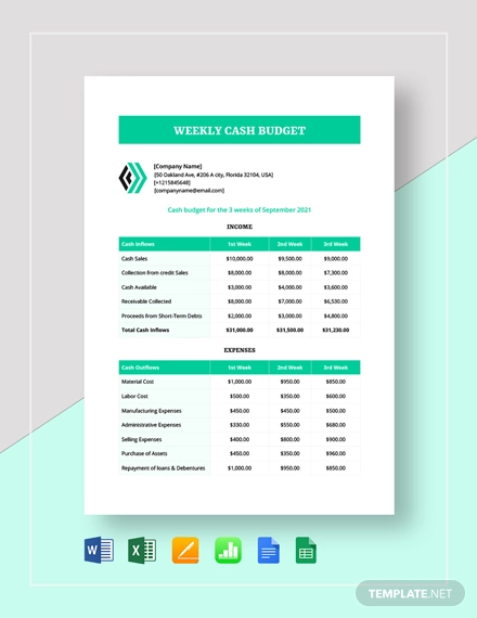 Cash Flow Budget 12 Examples Format Pdf Examples