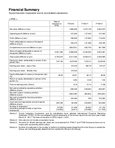 annual financial company statement report 