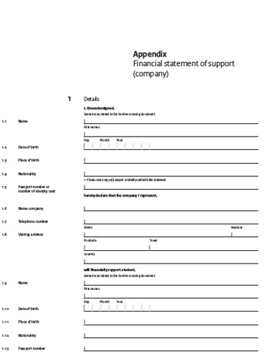 appendix company financial statement