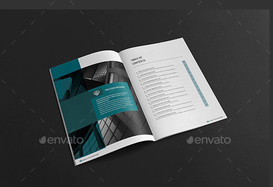business company portfolio brochure