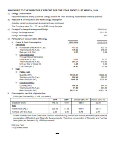 company directors balance sheets report