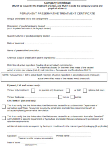 Company Letterhead Format