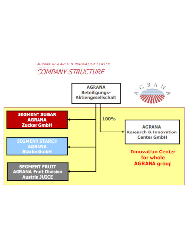 company structure presentation