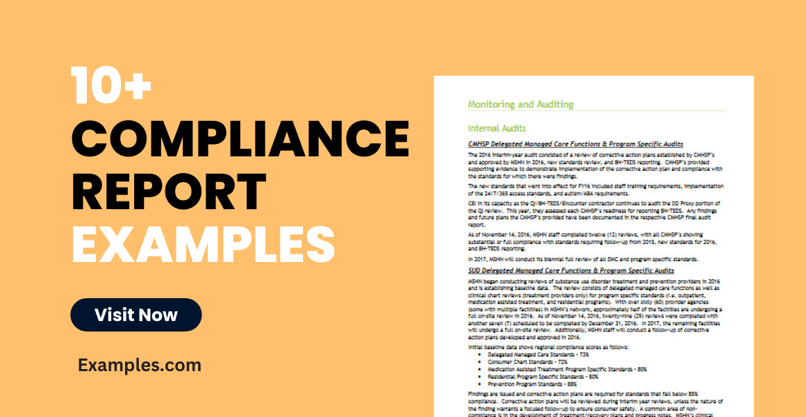 Compliance Report Examples