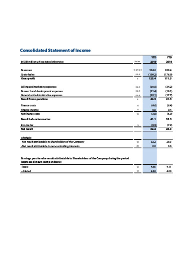 consolidated company financial statement