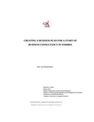 consulting startup business plan template