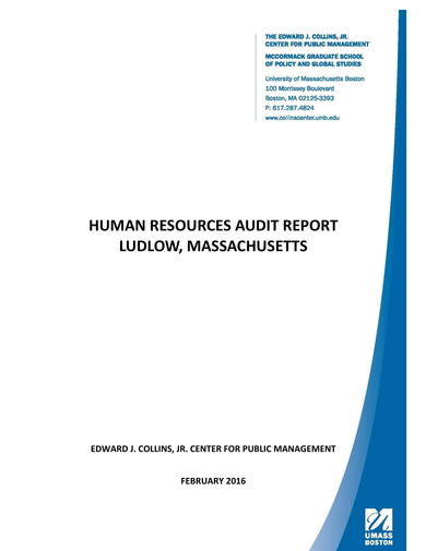 Detailed HR Audit Report