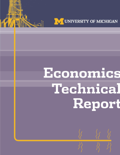 economics technical report