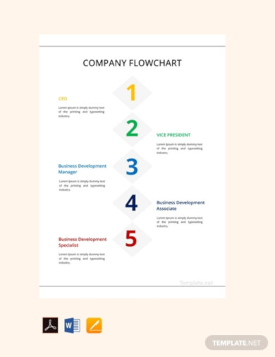 Company Flow Chart