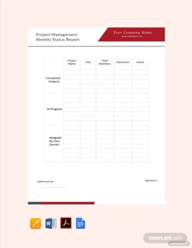 free project management weekly status report template