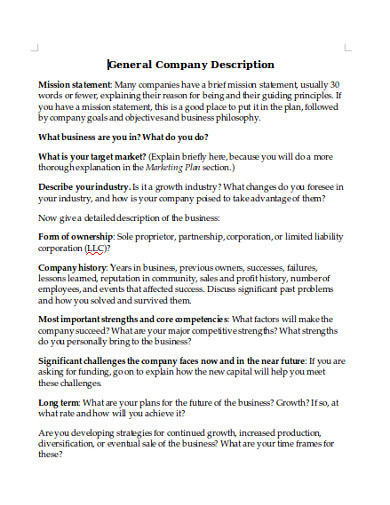 Company Description 22 Examples Format Pdf Examples