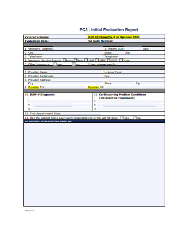 initial evaluation report template
