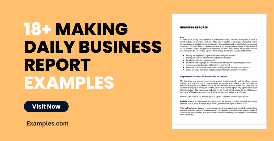 making daily business report examples