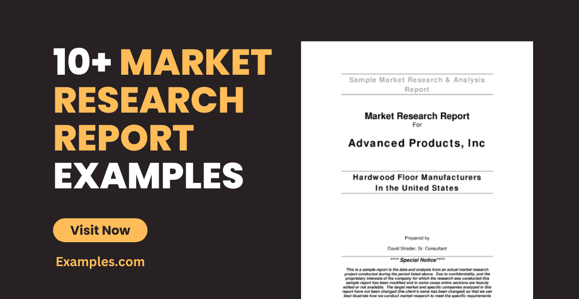 Market Research Report Examples