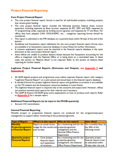 project financial report example