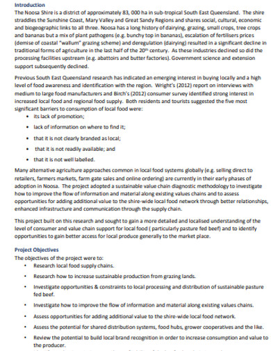 project report action plan