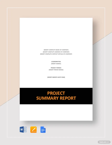 project summary report template