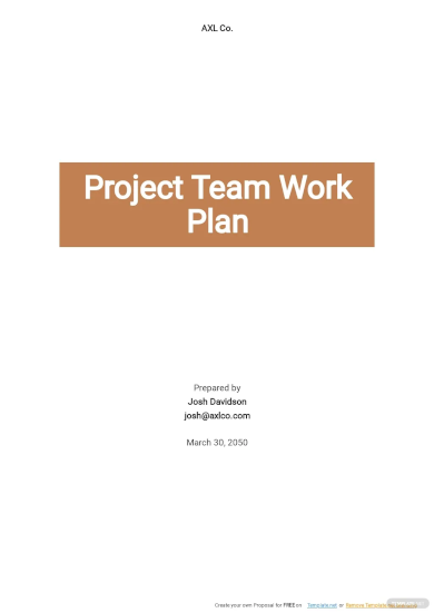 Project Team Work Plan Template