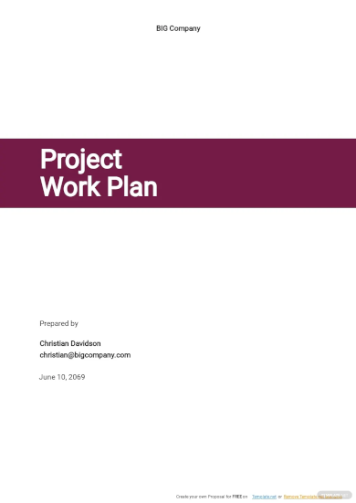 Project Work Plan Template