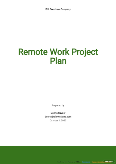 Remote Work Project Plan Template