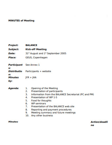 simple project meeting minutes in pdf