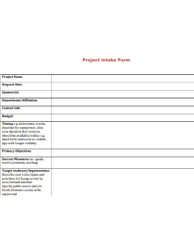 standard project intake form example 