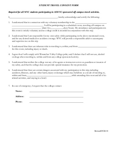 student travel consent form