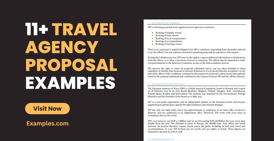 travel business proposal sample