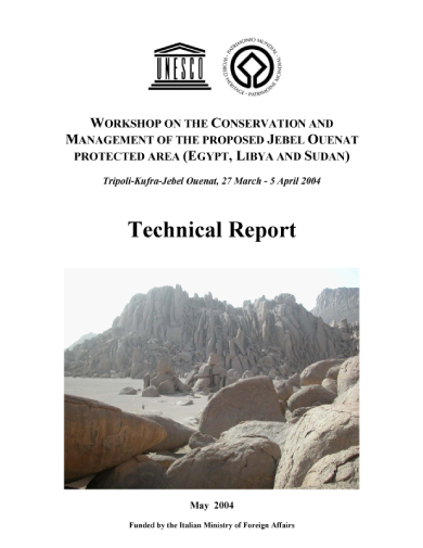 unesco technical report