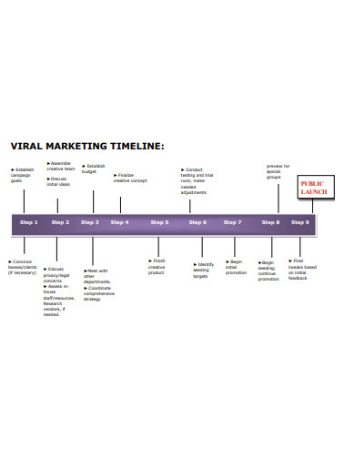 viral marketing timeline