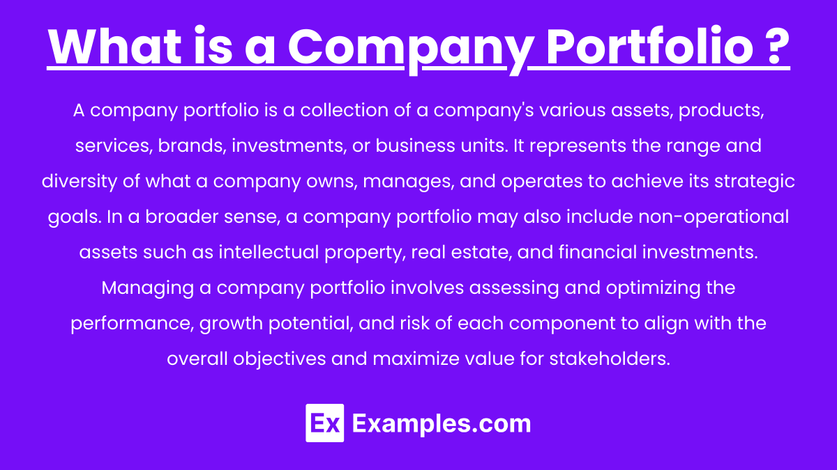 What is a Company Portfolio