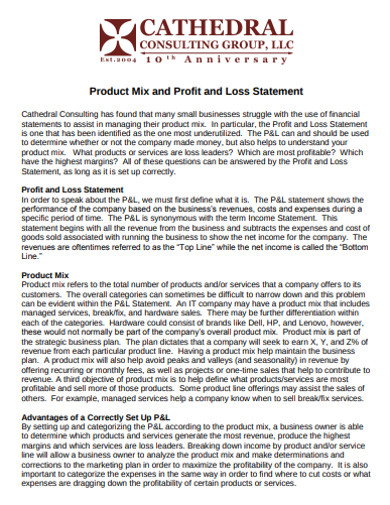 consulting profit and loss format 