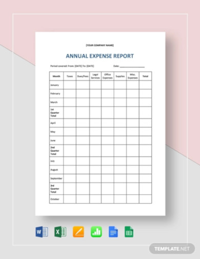 annual business expense and revenue reports template