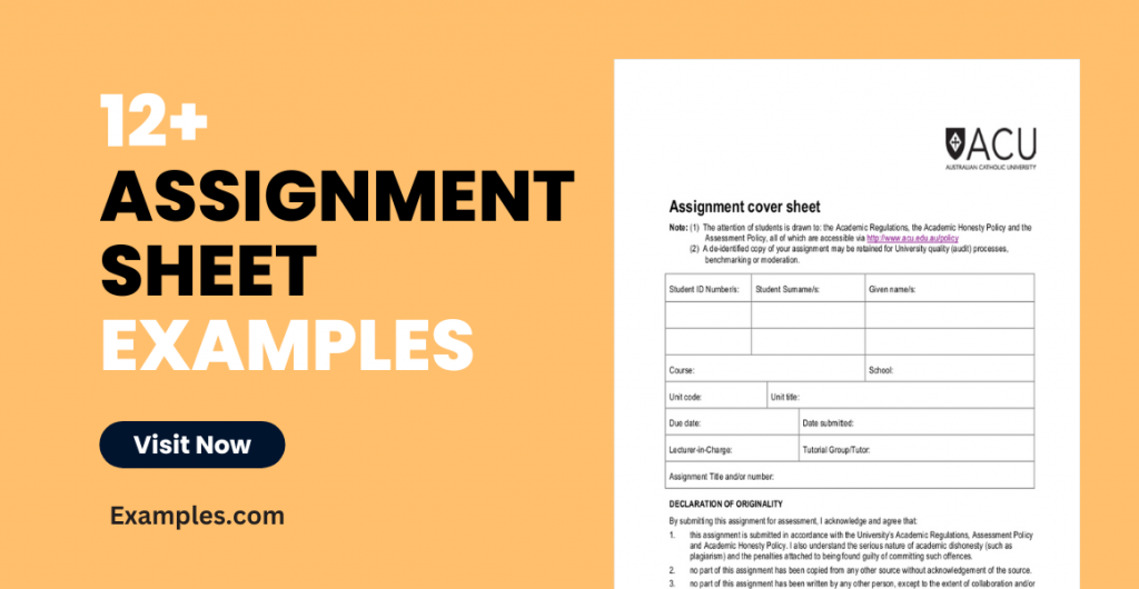 Assignment Sheet Examples