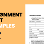 Assignment Sheet Examples