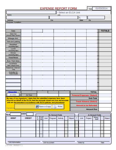 basic expenses report form