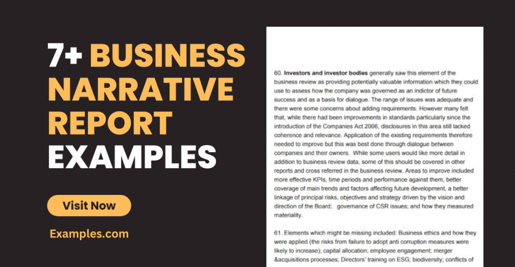 Business Narrative Report Examples