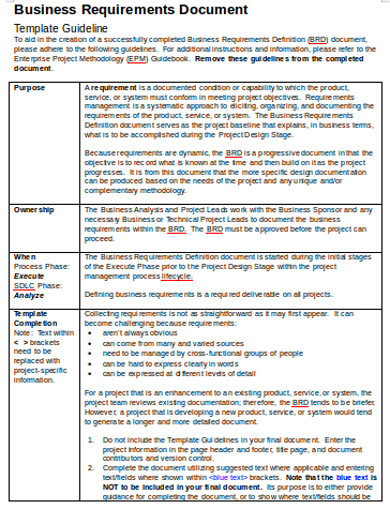 Business Requirements Document Format 