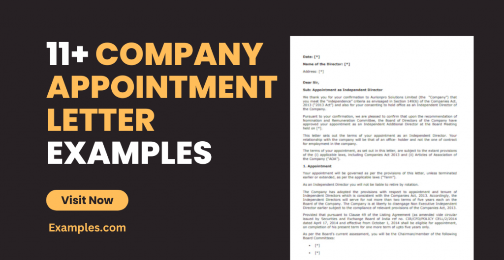 Company Appointment Letter Examples