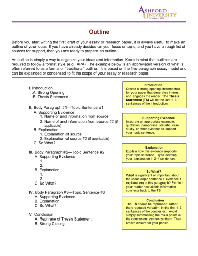 research paper outline anatomy