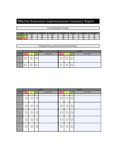 evaluation implementation summary report