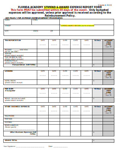expense report form example in doc
