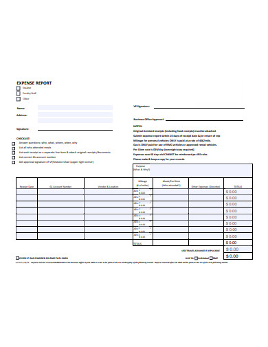 expenses report form in pdf