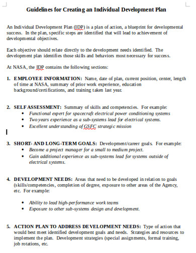 Individual Devolopment Plan Format