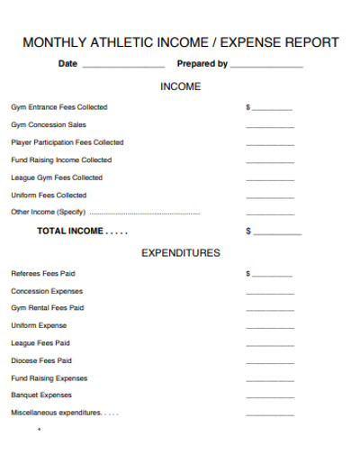 monthly income expense report example