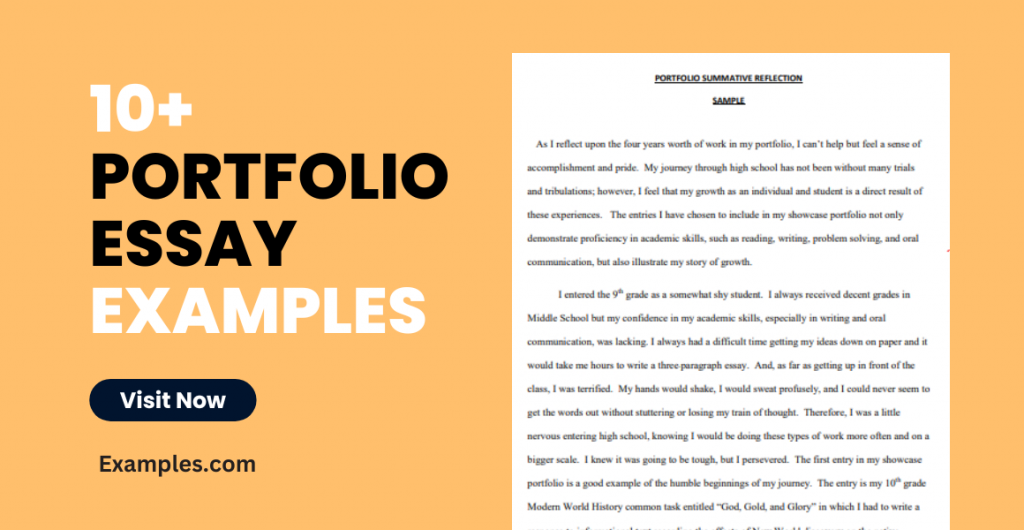 Portfolio Essay Examples