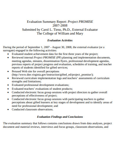 project evaluation summary report