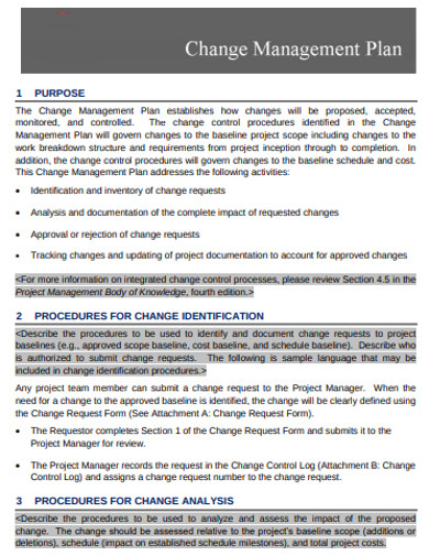 standard change management plan example