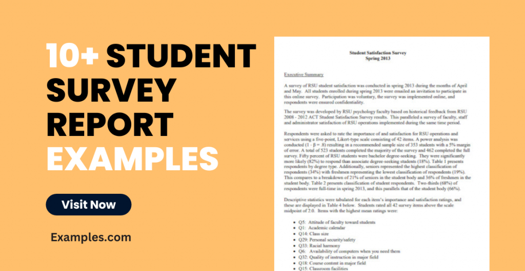 Student Survey Report Examples